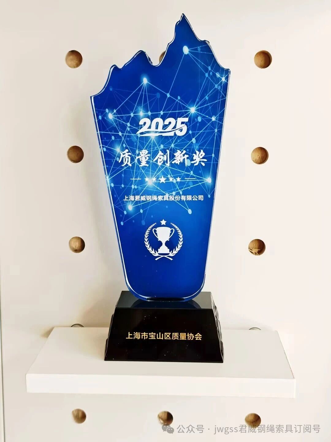 I君威鋼索摘得 “2025 質(zhì)量創(chuàng)新獎”